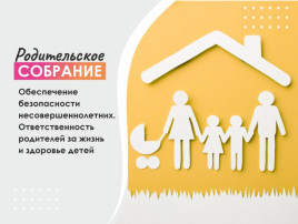 Городское родительское онлайн собрание «Обеспечение безопасности несовершеннолетних. Ответственность родителей за жизнь и здоровье детей» Городское родительское онлайн собрание «Обеспечение безопасности несовершеннолетних. Ответственность родителей за жизнь и здоровье детей».